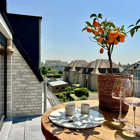 Signature Otisse * ミデルケルケ